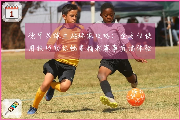 德甲买球主站玩家攻略：全方位使用技巧助你畅享精彩赛事直播体验